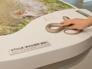 Wildnis(t)räume_Ausstellung 3 Nationalpark-Zentrum Eifel (c) Vogelsang IP-Roman Hövel.jpg Eine interaktive Ausstellung mit Elementen zum Tasten und Blindenschrift.