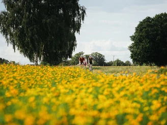 Landschaft im Osnabrücker Land