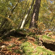 WaldbadenBadWildungen_JSchmitzIMG_5340.JPG