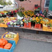 Markttag Wesselburen