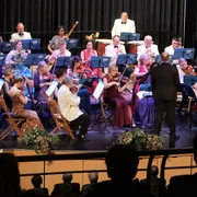 Johann-Strauss-Orchester Frankfurt