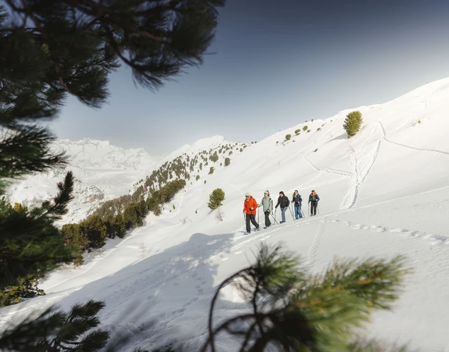 Guided tour through the UNESCO Aletsch Forest Fünf Personen auf Schneeschuhtour UNESCO Aletschwald genießen den Wintertag zwischen Hohfluh und Riederfurka mit BergpanoramaFive people on a snowshoe tour UNESCO Aletsch Forest enjoy the winter day between Hohfluh and Riederfurka with a mountain panoramaCinq personnes en randonnée à raquettes UNESCO Forêt d'Aletsch profitent de la journée d'hiver entre Hohfluh et Riederfurka avec un panorama de montagnes