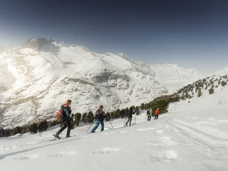 Schneeschuhtour im Aletschwald Gruppe auf Schneeschuhtour UNESCO Aletschwald mit Blick auf die verschneiten Walliser Alpen und tiefes WinterpanoramaGroup on a snowshoe tour UNESCO Aletsch Forest with a view of the snow-covered Valais Alps and deep winter panoramaGroupe en randonnée en raquettes à neige UNESCO Forêt d'Aletsch avec vue sur les Alpes valaisannes enneigées et un profond panorama hivernal