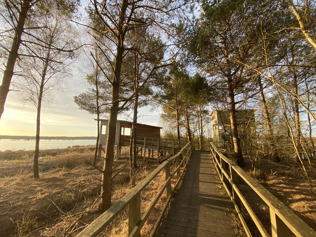 Die Moortürme im Tister Bauernmoor Die Moortürme im Tister Bauernmoor
