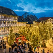 Goslarer Weihnachtswald Goslarer Weihnachtswald