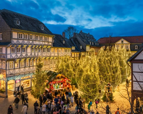 Goslarer Weihnachtswald Goslarer Weihnachtswald