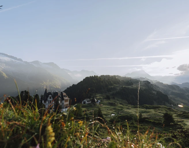 Villa Cassel in the summer light of the Aletsch Forest Villa Cassel vor dem Aletschwald mit Blick auf die Walliser Alpen während der Villa Cassel Aletschwald GeschichteVilla Cassel in front of the Aletsch Forest with a view of the Valais Alps during the Villa Cassel Aletsch Forest HistoryVilla Cassel devant la forêt d'Aletsch avec vue sur les Alpes valaisannes pendant l'histoire de la Villa Cassel Forêt d'Aletsch