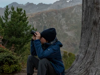 Youngsters observing wildlife in the Aletsch Forest Junge sitzt mit Fernglas an einem Baumstamm während einer Wildbeobachtung Aletsch Pro Natura Morgens frühBoy sitting with binoculars on a tree trunk during a wildlife observation Aletsch Pro Natura early in the morningJeune garçon assis à un tronc d'arbre avec des jumelles lors d'une observation de la faune Aletsch Pro Natura Tôt le matin