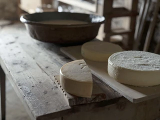 Käseproduktion mit frischen Laiben Schaukäsen Alpmuseum Aletsch mit frisch gepressten Käselaiben auf Holzbrettern im Alpmuseum Riederalp