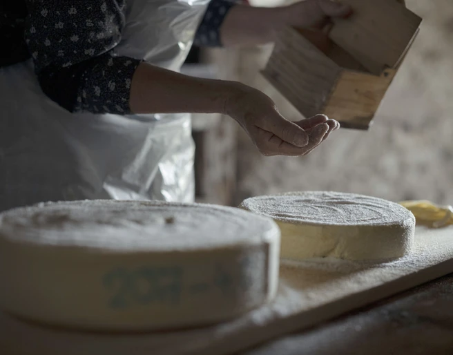 Salage du fromage au musée d'alpage de Riederalp Schaukäsen Alpmuseum Aletsch mit traditionellem Einsalzen der frischen Käselaibe von HandShow cheesemaking at the Aletsch Alpine Museum with traditional salting of the fresh cheese wheels by handFromage de démonstration au musée d'alpage d'Aletsch avec salage manuel traditionnel des meules de fromage fraîches