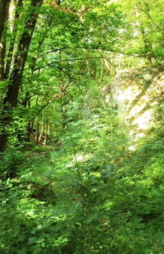 Salzgitter Höhenzug, Wanderweg 19 Schlucht
