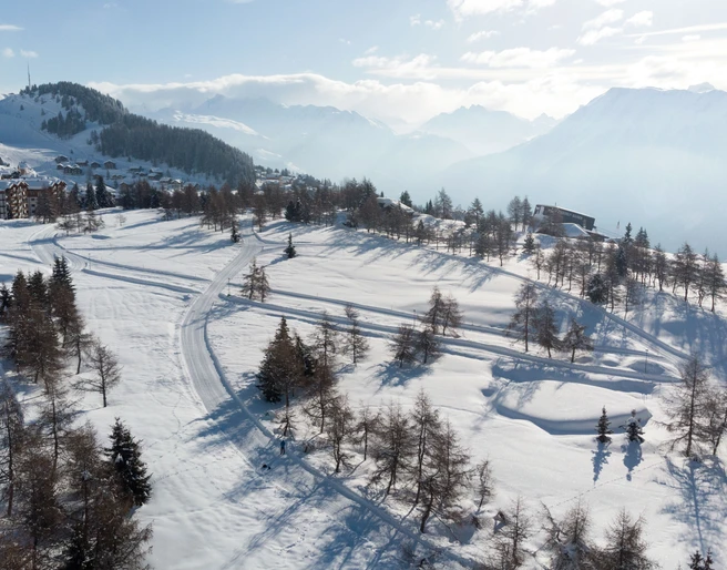 Vue par drone de la piste de ski de fond de Riederalp Langlauf Schnupperkurs Riederalp auf verschneiter Loipe, Luftaufnahme mit Blick auf das Dorf und die AlpenCross-country skiing taster course Riederalp on a snow-covered trail, aerial view of the village and the AlpsCours d'initiation au ski de fond à Riederalp sur une piste enneigée, vue aérienne avec vue sur le village et les Alpes