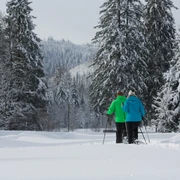 Schneeschuhwanderer im Buhlbachtal
