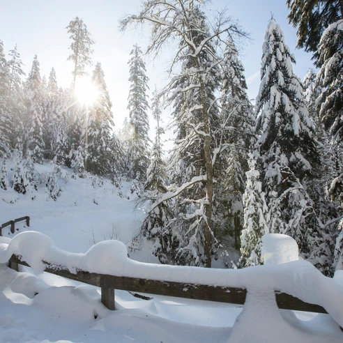 Winterlandschaft im Baiersbronn