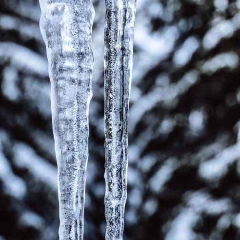 Eiszapfen im Wald