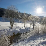 Das Buhlbachtal im Winter