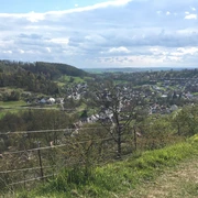 Blick über Dahlhausen