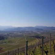 Aussicht in Richtung Fatima Kapelle