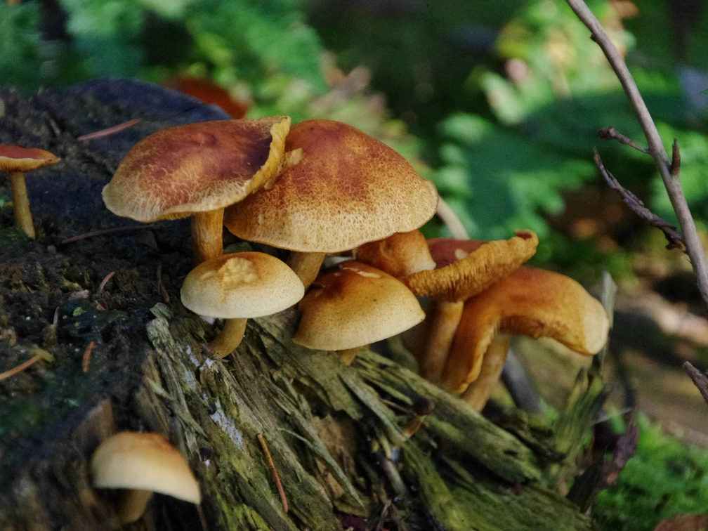 Lüder IMGP7779-2.jpg