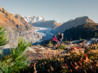 Familienwanderung im Herbst Aletsch Entdeckerpass mit Familie beim Wandern oberhalb des Aletschgletschers in goldenem Herbstlicht