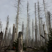 Am Achtermann 07.10.20.jpg