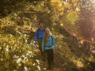 Autumn hike in the Aletsch Arena Herbstsonne Aletsch Arena mit Paar auf Wanderweg durch goldene Lärchenwälder im warmen SonnenlichtAutumn sun Aletsch Arena with couple on hiking trail through golden larch forests in the warm sunlightSoleil d'automne Aletsch Arena avec un couple sur un sentier de randonnée à travers les forêts de mélèzes dorés sous la lumière chaude du soleil