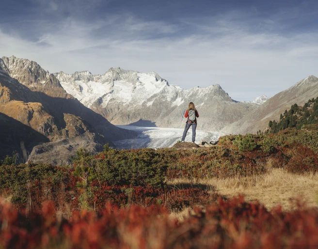 Herbstwanderung mit Aussicht auf den Aletschgletscher Herbstsonne Aletsch Arena mit Wanderin auf Aussichtspunkt über dem Aletschgletscher im goldenen HerbstlichtAutumn sun in the Aletsch Arena with a hiker on a viewpoint above the Aletsch Glacier in the golden autumn lightSoleil d'automne Aletsch Arena avec randonneuse sur le point de vue au-dessus du glacier d'Aletsch dans la lumière dorée de l'automne