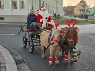 Weihnachtsmarkt Dahlen - Weihnachten in der Region Leipzig Zwei Ponys mit roten Weihnachtsmützen ziehen eine festlich geschmückte Kutsche, gelenkt von einem Weihnachtsmann in rotem Kostüm.