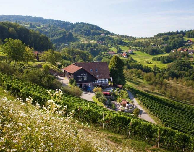 Schlafen im Weinfass