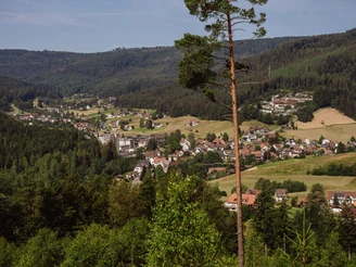 Blick auf Obertal