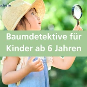 Baumdetektive für Kinder ab 6 Jahren