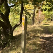 Locheichen-Traddelkopf-Route