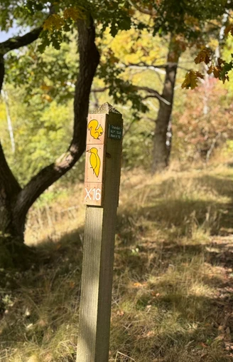 Locheichen-Traddelkopf-Route