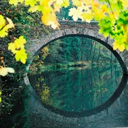 Brücke im Zschopautal