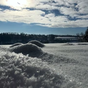 Schneekristalle Betzweiler