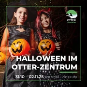 Helloween oz.jpg