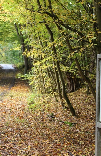 Quellenrundweg Radfahren