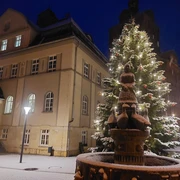 Weihnachtsmarkt Dommitzsch - Weihnachten in der Region Leipzig Ein festlich beleuchteter Weihnachtsbaum vor einem historischen Gebäude bei Nacht, mit Schneefall.