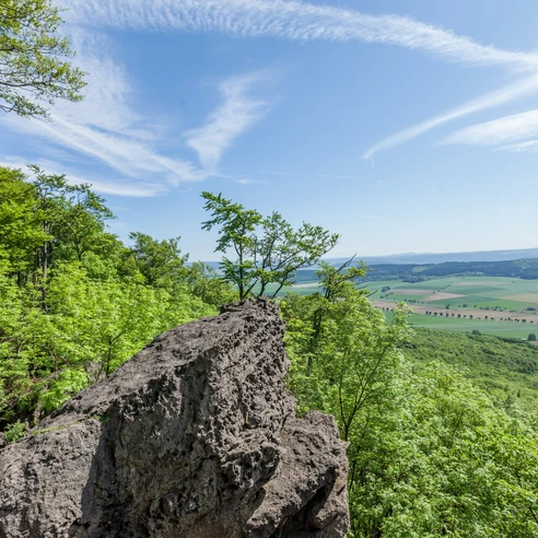 Aussicht aus dem nördlichen Ith