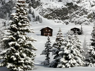 Bild Riederalp Winter 2