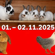 ChatGPT Image 13. Okt. 2025, 07_46_02.png