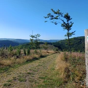 2025 Briloner Kammweg Rothekopf quer DA.jpg