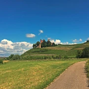 Blick auf das Schloss Ortenberg
