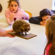 Tiere im Winter Umweltpdagogig