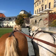 Unterwegs mit starken Pferden