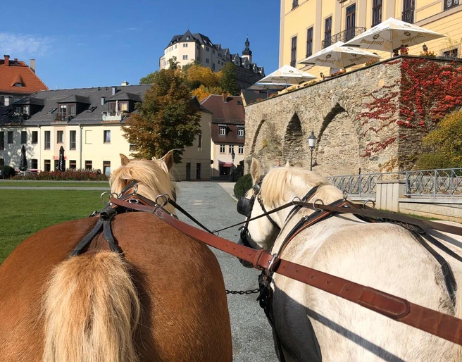 Unterwegs mit starken Pferden