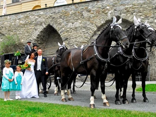 Pferdekutsche vor dem Unteren Schloss in Greiz