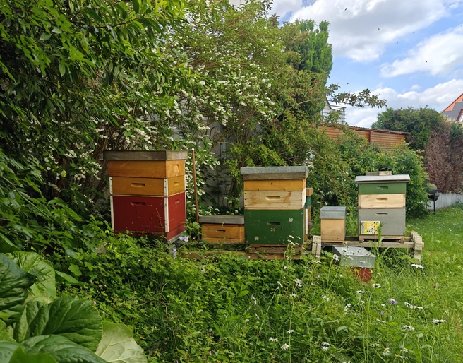 2025 Standort-Kirchditmold_Hendrik Pulju_ccby Naturpark Habichtswald
