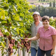 Ehepaar Bohnert in den Weinreben