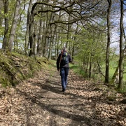 Unterwegs auf dem Spicke Rundweg 1 bei Edertal-Kleinern